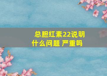 总胆红素22说明什么问题 严重吗